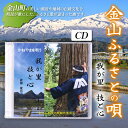 【ふるさと納税】 金山ふるさとの歌(CD) F4B-0328