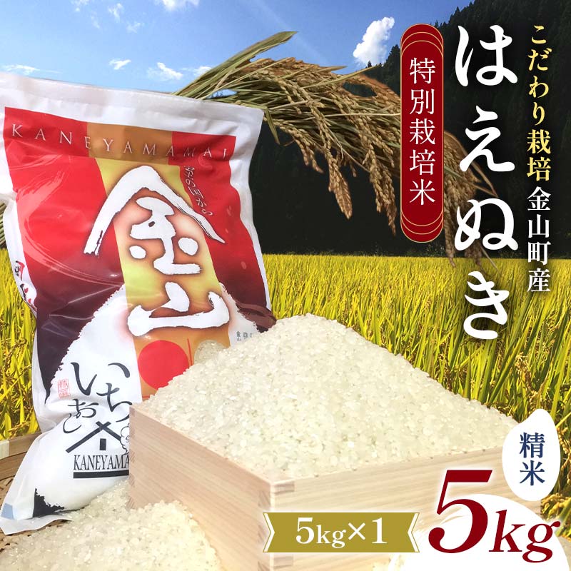 【ふるさと納税】【先行予約 令和7年産】 金山町産 特別栽培米 はえぬき 精米 5kg 米 お米 ご飯 ブランド米 F4B-0604