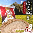 【ふるさと納税】【先行予約 令和7年産】 金山町産 特別栽培米 はえぬき 玄米 5kg 米 お米 ご飯 ブランド米 F4B-0607