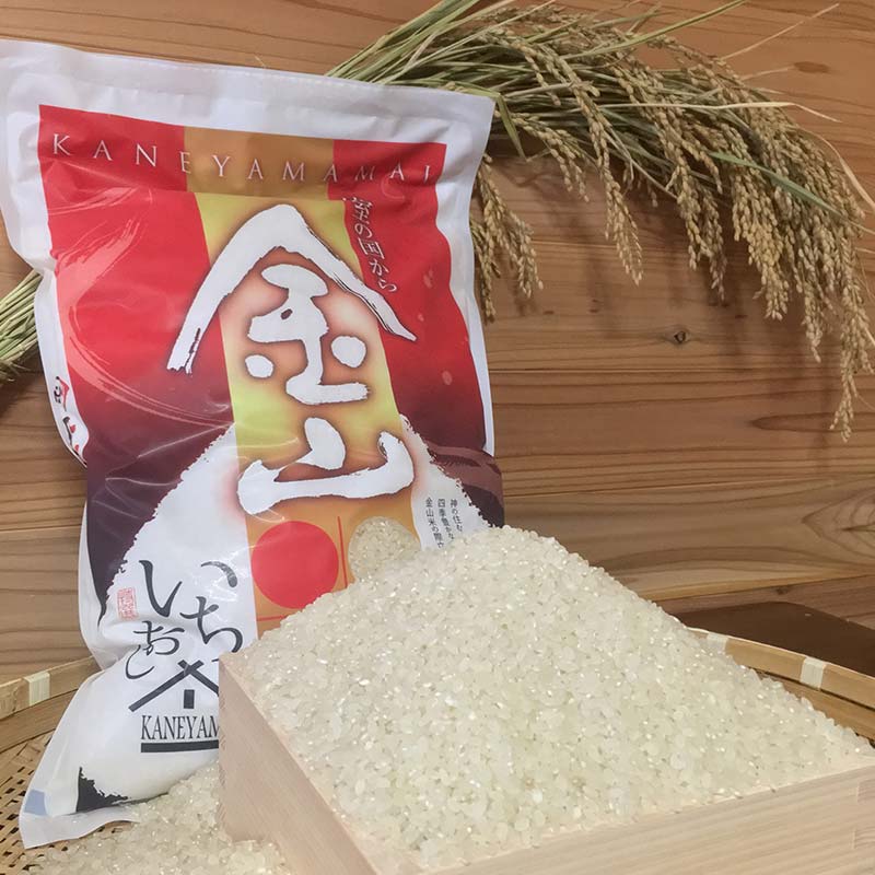 【ふるさと納税】【令和7年産】定期6回 金山町産 特別栽培米 はえぬき 精米 2kg 米 お米 ご飯 ブランド米 定期便 F4B-0625