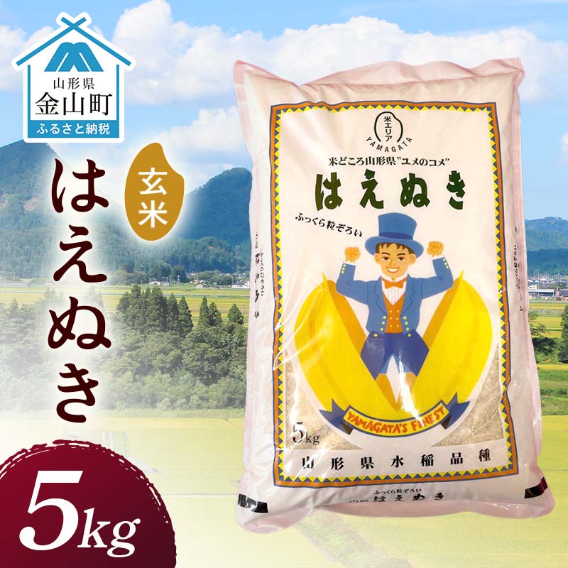令和7年産 金山産米 はえぬき [玄米](5kg)米 お米 ご飯 玄米 ブランド米 送料無料 東北 山形 金山町