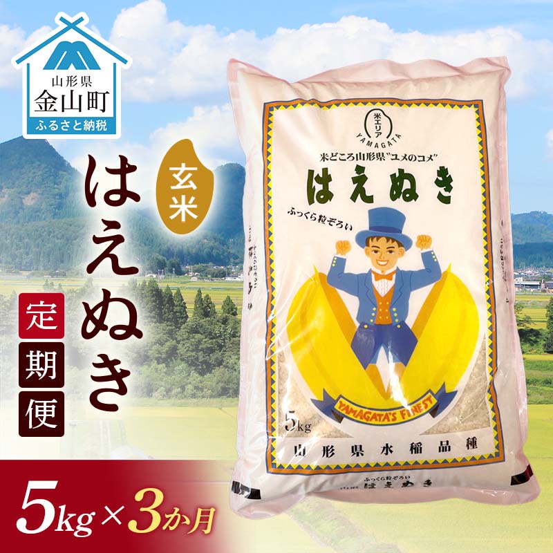 令和6年産[定期便] 金山産米 はえぬき[玄米](5kg)×3ヶ月計15kg 定期便 3ヶ月 米 お米 ご飯 玄米 ブランド米 送料無料 東北 山形 金山町