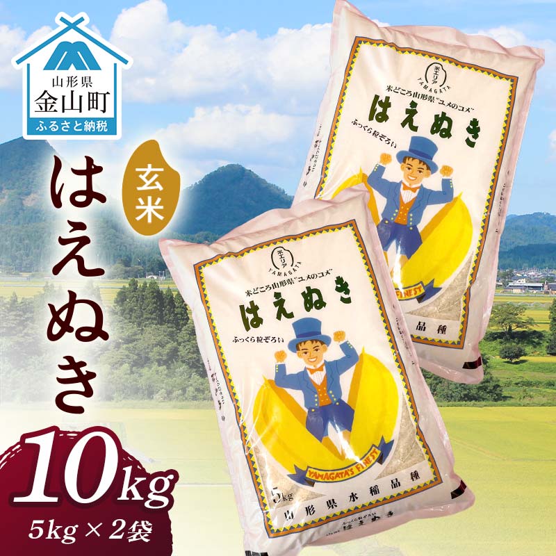 【ふるさと纳税】 令和7年産 金山産米 はえぬき【玄米】（5kg×2袋） 计10kg 米 お米 ご饭 玄米 ブランド米 送料无料 东北 山形 金山町 F4B-0676