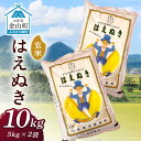【ふるさと納税】 令和7年産 金山産米 はえぬき【玄米】(5kg×2袋) 計10kg 米 お米 ご飯 玄米 ブランド米 送料無料 東北 山形 金山町 F4B-0676