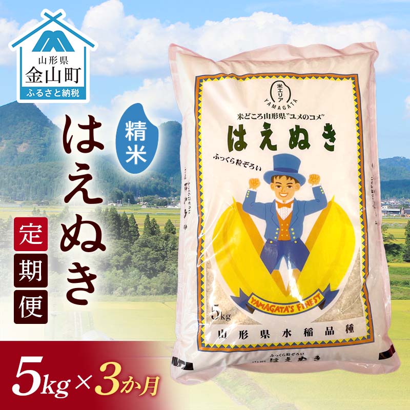 【ふるさと納税】令和7年産 金山産米 はえぬき 【精米】（5kg）×3ヶ月 計15kg 定期便 米 お米 白米 ご飯 精米 ブランド米 送料無料 東北 山形 金山町 F4B-0680