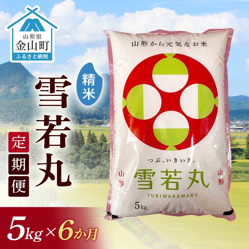 【ふるさと納税】令和7年産 金山産米「雪若丸【精米】」（5kg）×6ヶ月・定期便 計30kg 定期便 6ヶ月 米 お米 白米 ご飯 精米 ブランド米 雪若丸 送料無料 東北 山形 金山町 F4B-0693