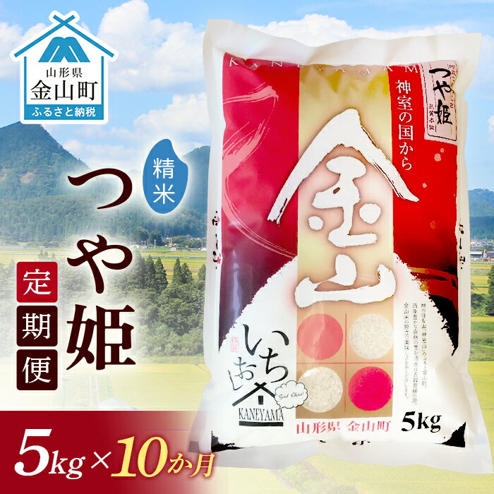 【ふるさと納税】《定期便》金山産米「つや姫【精米】」5kg×10ヶ月 計50kg 10ヶ月 米 お米 白米 ご飯 精米 ブランド米 つや姫 送料無料 東北 山形 金山町 F4B-0174