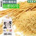 28位! 口コミ数「1件」評価「5」【令和6年産予約】慣行栽培米　山形95号　玄米　10kg×1