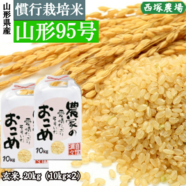 【令和6年産予約】慣行栽培米 山形95号 玄米 20kg(10kg×2)