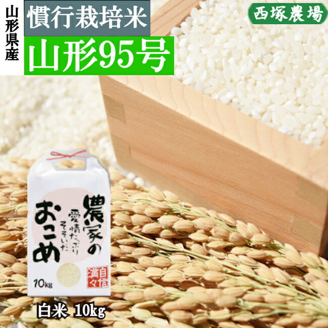 【令和6年産予約】慣行栽培米　山形95号　白米　10kg×1