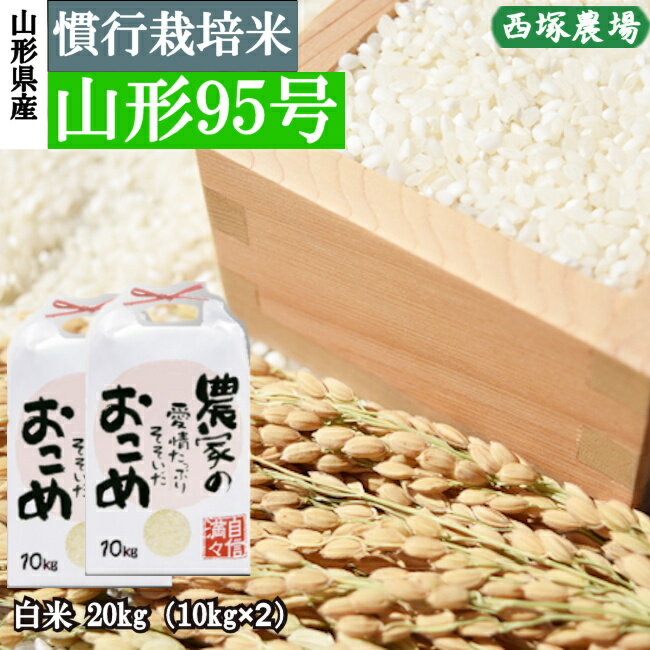 【令和6年産予約】慣行栽培米　山形95号　白米　20kg(10kg×2)