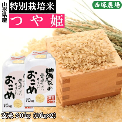 【令和6年産予約】特別栽培米　つや姫　玄米　20kg(10kg×2)