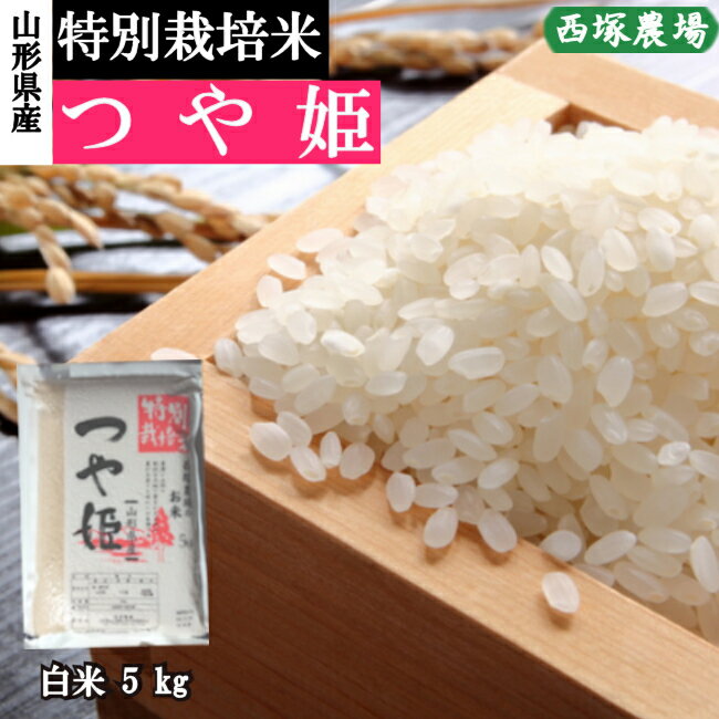 【ふるさと納税】 【令和6年産予約】特別栽培米　つや姫　白米