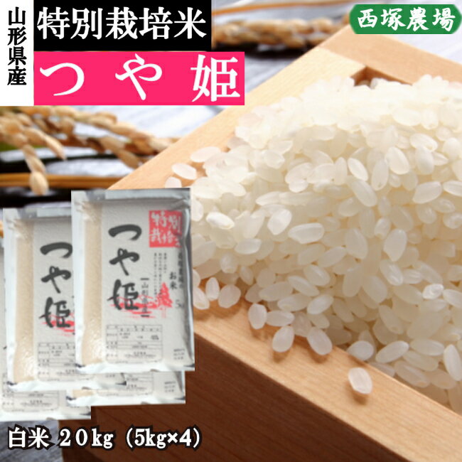 限定価格セール ふるさと納税 最上町 令和5年産新米 慣行栽培米はえぬき玄米20kg 山形県産 西塚農場のお米