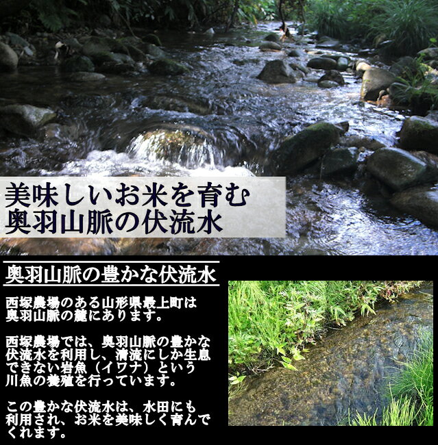 【ふるさと納税】【令和8年産予約】山形県産 ミルキークイーン 玄米 30kg 1袋 f063622-mogami-10000674 山形県最上町 サンプル画像3
