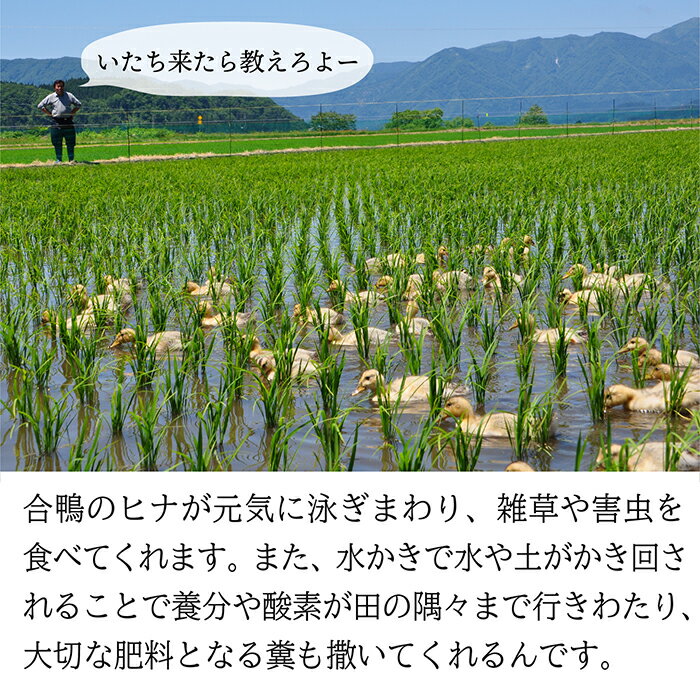 山形県最上町の画像2