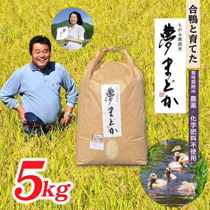 【希少品種】特別栽培米　夢まどか5kg×1袋