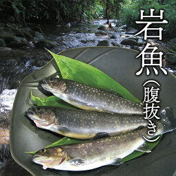 【ふるさと納税】西塚農場産 岩魚冷凍20尾(腹抜き)