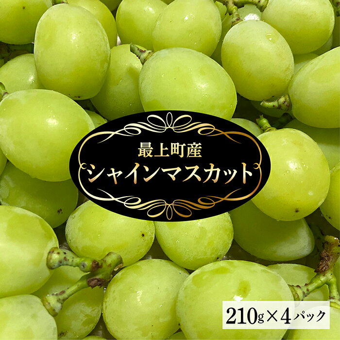 【ふるさと納税】【10月より値上げ予定】最上町産 シャインマスカットのサムネイル
