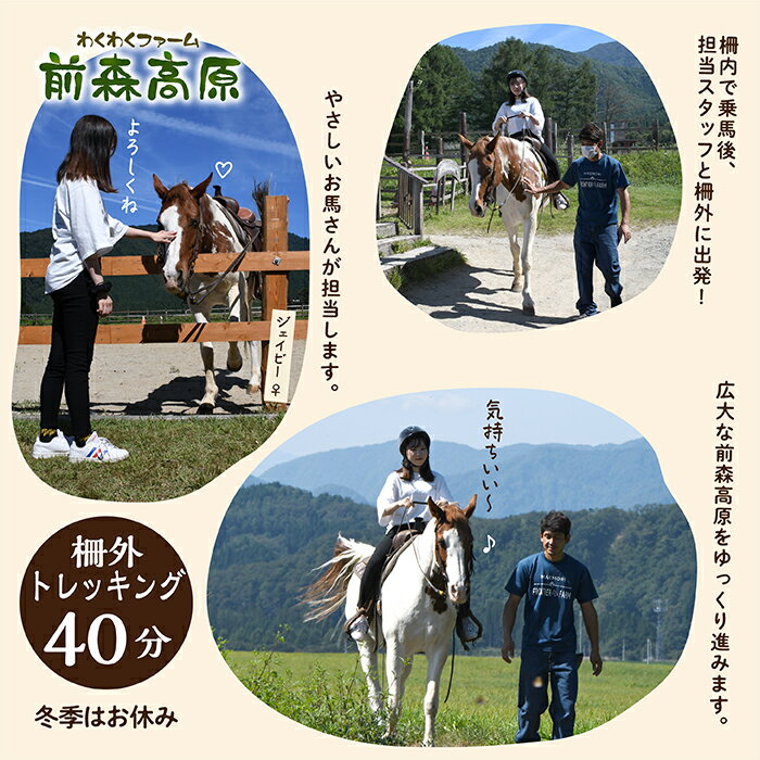 【ふるさと納税】前森高原「乗馬体験」トレッキングコース
