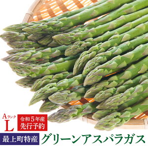 【ふるさと納税】最上町特産グリーンアスパラ1kg