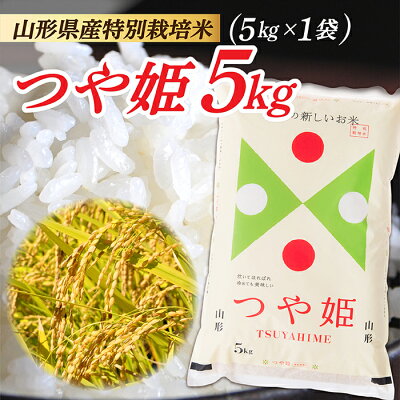 楽天ふるさと納税　【ふるさと納税】【令和5年産】山形県産 特別栽培米 つや姫5kg (5kg×1袋)