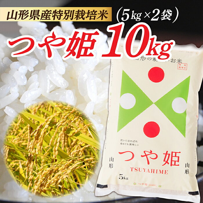 【ふるさと納税】【令和5年産】山形県産 特別栽培米 つや姫10kg (5kg×2袋)