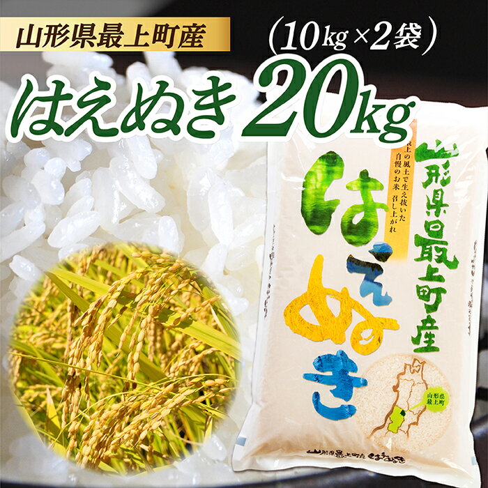 【ふるさと納税】山形県産 はえぬき 20kg (10kg×2袋)...