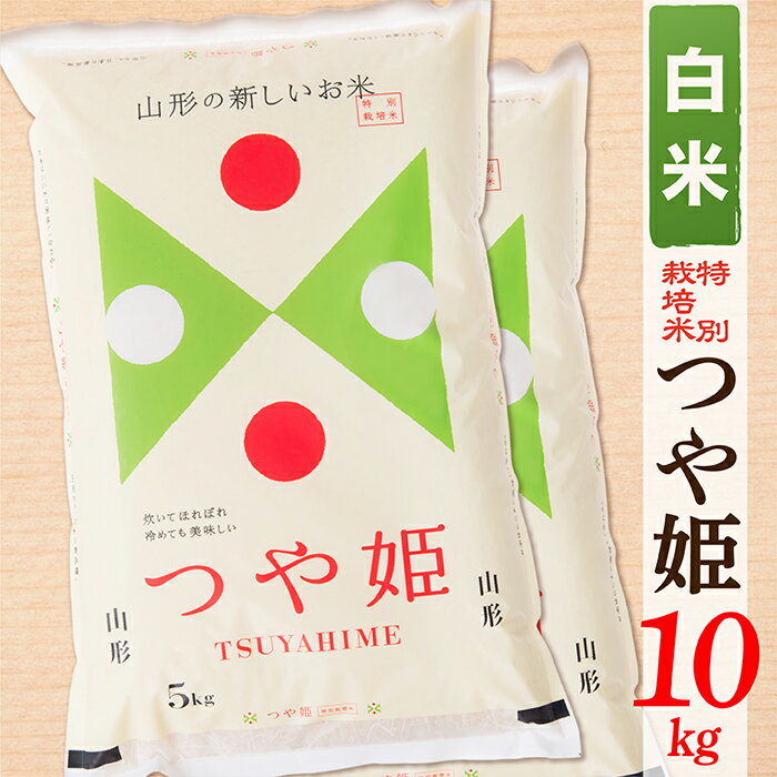 【ふるさと納税】【令和6年産予約】【白米】山形県産つや姫10