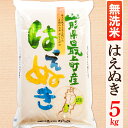 【ふるさと納税】【10月より値上げ予定】【令和5年産予約】【無洗米】山形県産はえぬき5kg