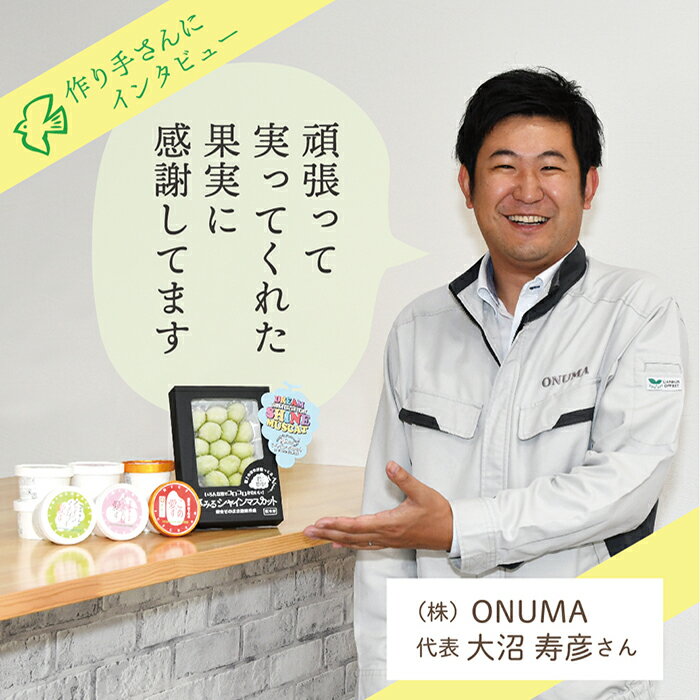 【ふるさと納税】最上町産さくらんぼ使用アイス『さくらんぼ愛す』6個