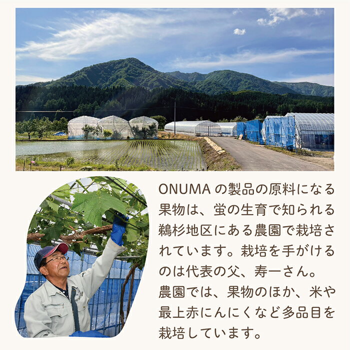 【ふるさと納税】最上町産さくらんぼ使用アイス『さくらんぼ愛す』6個