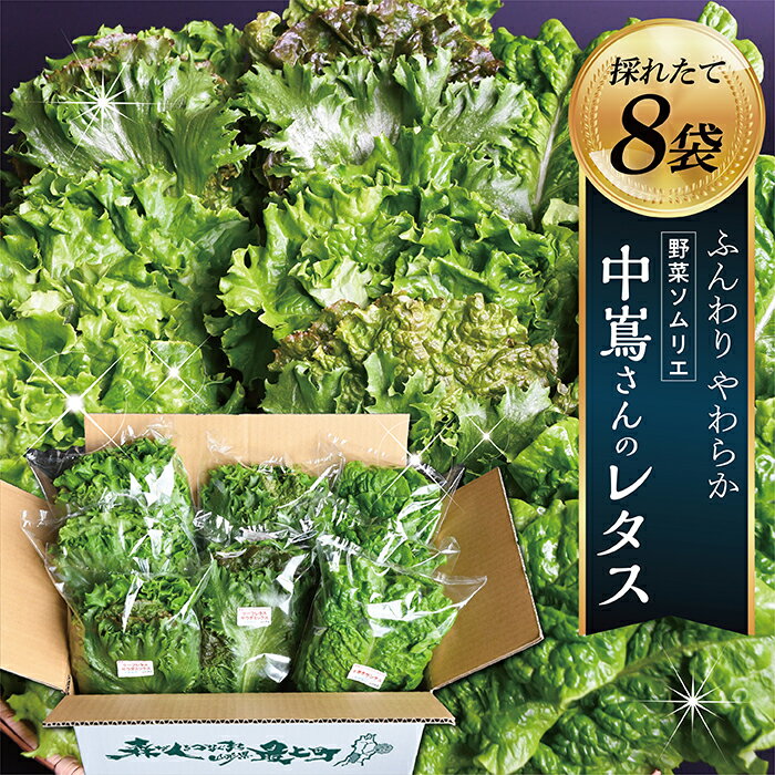 27位! 口コミ数「15件」評価「4.6」野菜ソムリエ中嶌さんのレタスセット