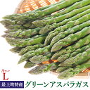 【ふるさと納税】【令和7年産】最上町特産グリーンアスパラ2kg