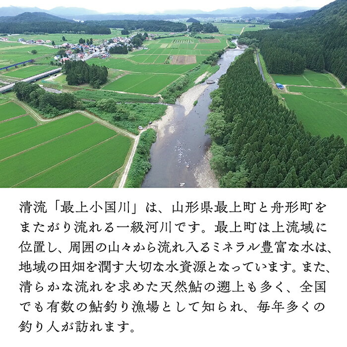 【ふるさと納税】最上小国川　遊漁券（年券）【令和6年4月1日〜令和7年3月31日】鮎釣り 全魚種