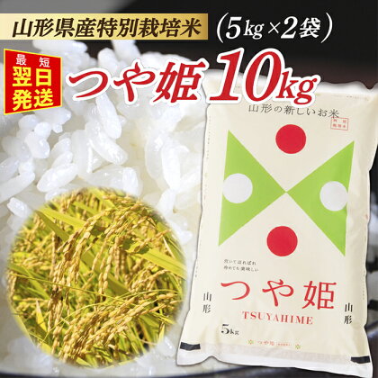 【最短翌日発送】【令和5年産】 山形県産 特別栽培米 つや姫10kg (5kg×2袋)