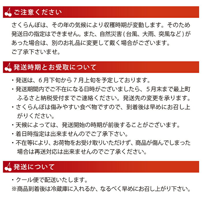 【ふるさと納税】【令和6年産予約】さくらんぼ「大将錦」Lサイズ以上　バラ1kg