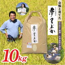 【ふるさと納税】【希少品種】【令和7年産予約】特別栽培米 夢まどか10kg