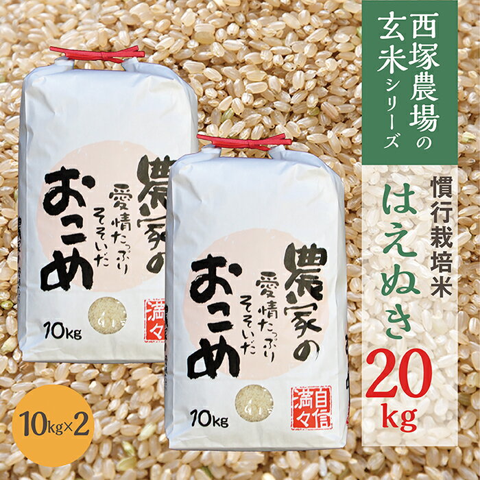 楽天市場】山形県 はえぬき 玄米 20kgの通販 楽天市場】山形県 はえぬき 玄米 20kgの通販