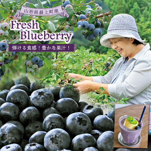 【ふるさと納税】【フレッシュ】最上町産ブルーベリー1kg ※発送は7月~8月になります。 【ふるさと納税】【フレッシュ】最上町産ブルーベリー1kg ※発送は7月~8月になります。