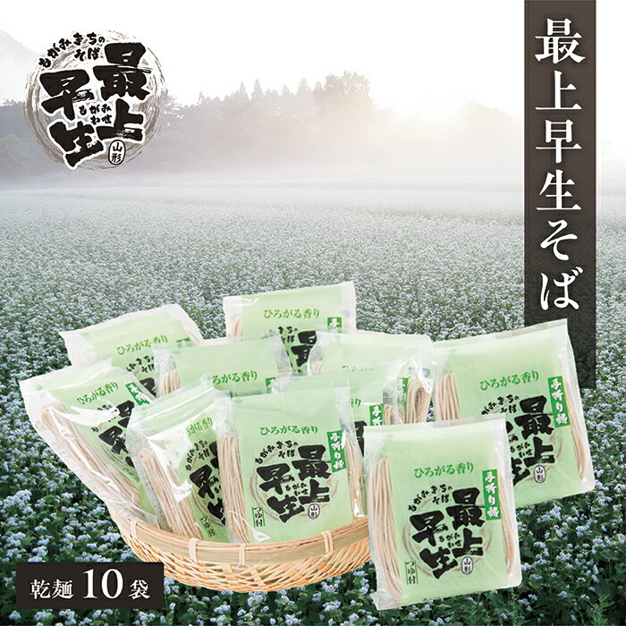 最上早生そば乾麺10袋セット