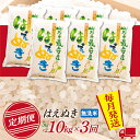 【ふるさと納税】【定期便】【無洗米】令和7年産 山形県産 はえぬき 10kg (5kg×2) 3回配送