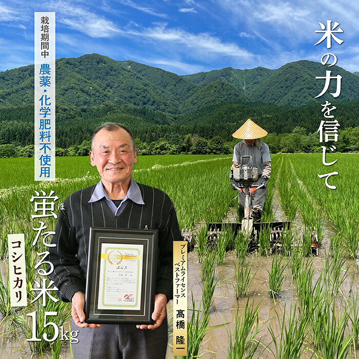 【ふるさと納税】特別栽培米　蛍たる米 コシヒカリ 15kg