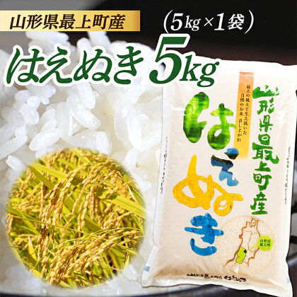 【令和5年産】山形県産 はえぬき 5kg (5kg×1袋)