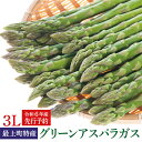 【ふるさと納税】【令和6年産予約】最上町特産グリーンアスパラ3Lサイズ1kg