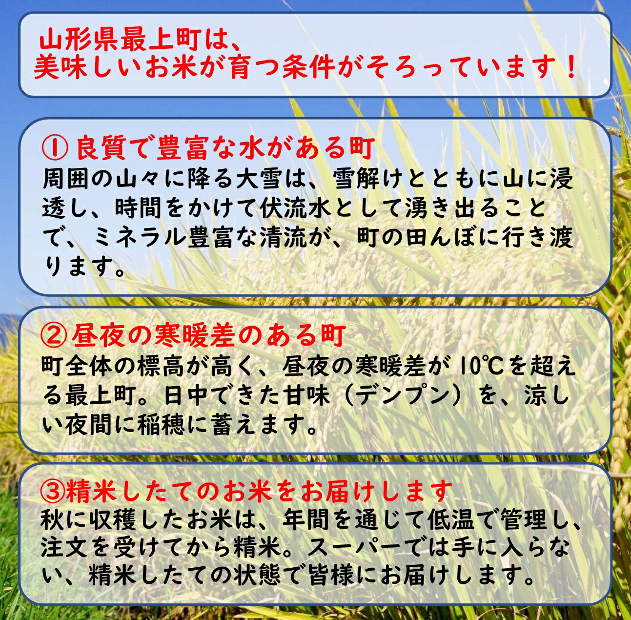 【ふるさと納税】【希少品種】減農薬米　夢まどか10kg(5kg×2袋)