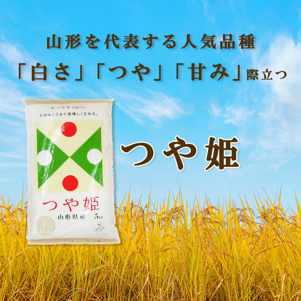 【ふるさと納税】【定期便2～9か月】【令和5年産】「山形県舟形町産　つや姫」　選べる 精米 無洗米 10kg（5kg×2袋） 20kg（5kg×4袋） お米 白米 ふるさと納税米 返礼品 送料無料 ギフト ブランド米 大場惣吉商店 惣吉の米 【06363-0019～0050】