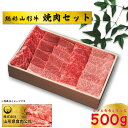 9位! 口コミ数「0件」評価「0」総称山形牛　焼肉セット　500g　肉 牛肉 カタ モモ カルビ 焼肉 山形牛 ブランド牛 グルメ ギフト 御馳走 ご褒美 もがみ中央農業協同･･･ 