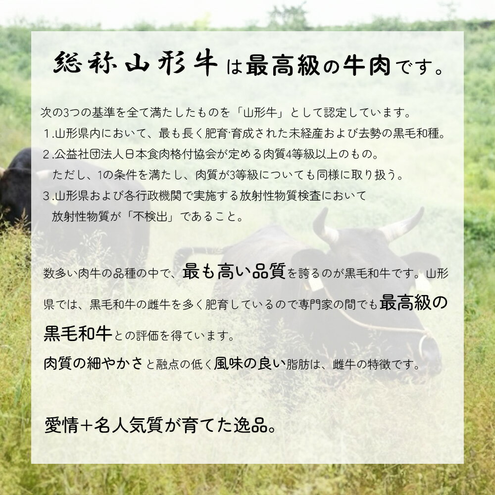 【ふるさと納税】総称山形牛　サーロインステーキ　400g　肉 牛肉 ステーキ 山形牛 ブランド牛 グルメ ギフト 御馳走 ご褒美 もがみ中央農業協同組合　【06363-0147】