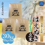 【ふるさと納税】 ＜配送時期が選べて便利な定期便＞令和5年産 真室川町厳選 はえぬき ＜玄米＞ 30kg（10kg×1カ月ごと3回お届け）